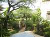 Banana House - Garden 